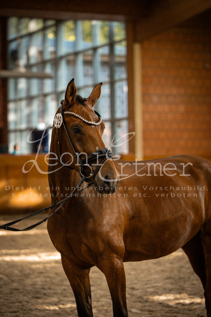 2Schritt00078 | Leoni Ertmer Photography - Realisiert mit Pictrs.com