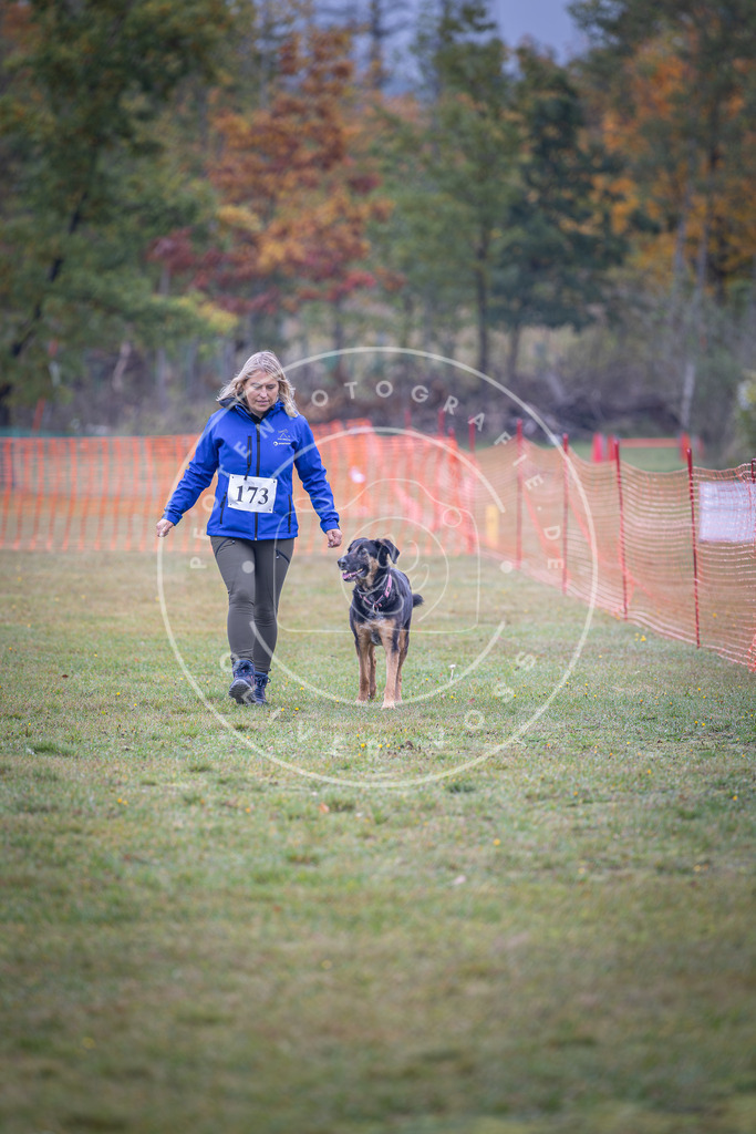 Pfotenfotografie_DV3A9571 | Hundefotografie, Tierfotograf, Pfotenfotografie, Fotoshooting Hund, Hunde Portrait, Hundesport, Hundeportraits, Heideshooting, Hunde, Sportfotograf, Hundefotograf, Turnierhundsport, THS,  - Realisiert mit Pictrs.com