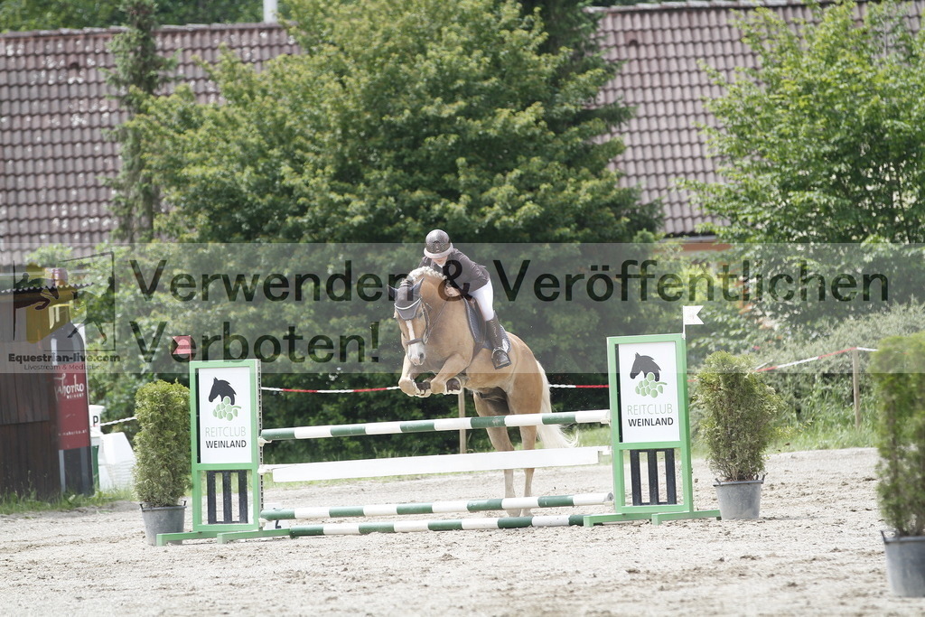 _MG_6047 | equestrian-live-com