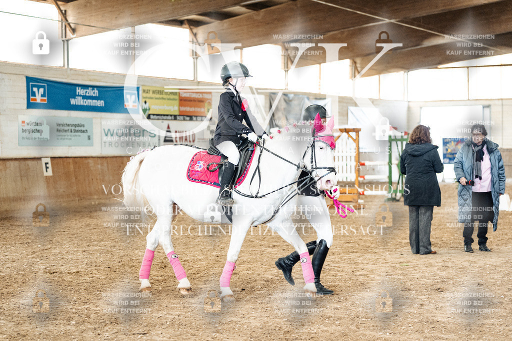 CK905923 | Turnierfotografie Pferdefotografie Trier Rheinland-Pfalz Pferdesport Reitsport Tierfotografie Sportfotografie Pferdevideo Pferdevideografie Equestrianvideography equestrianphotography  - Realisiert mit Pictrs.com