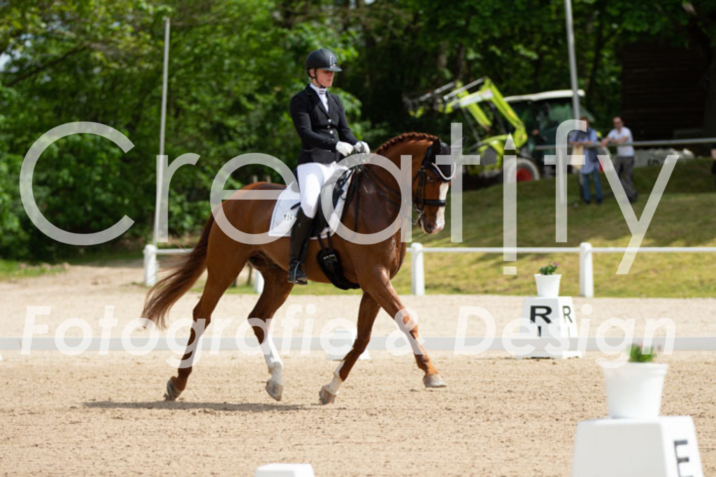 IMG_6408 | Creatify Fotografie