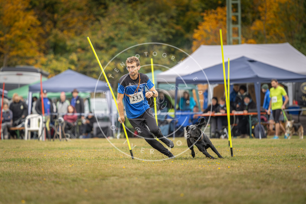 Pfotenfotografie_DV3A5136 | Hundefotografie, Tierfotograf, Pfotenfotografie, Fotoshooting Hund, Hunde Portrait, Hundesport, Hundeportraits, Heideshooting, Hunde, Sportfotograf, Hundefotograf, Turnierhundsport, THS,  - Realisiert mit Pictrs.com