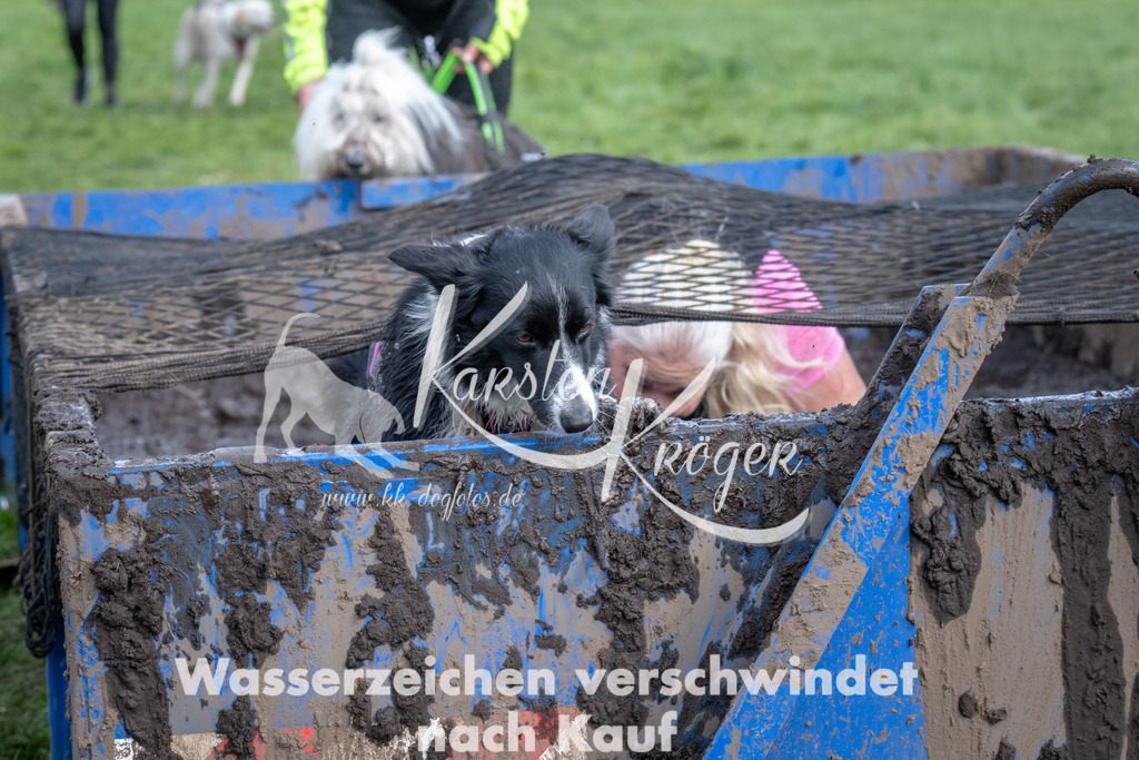 1445_ZZ93495 | kk-dogfotos