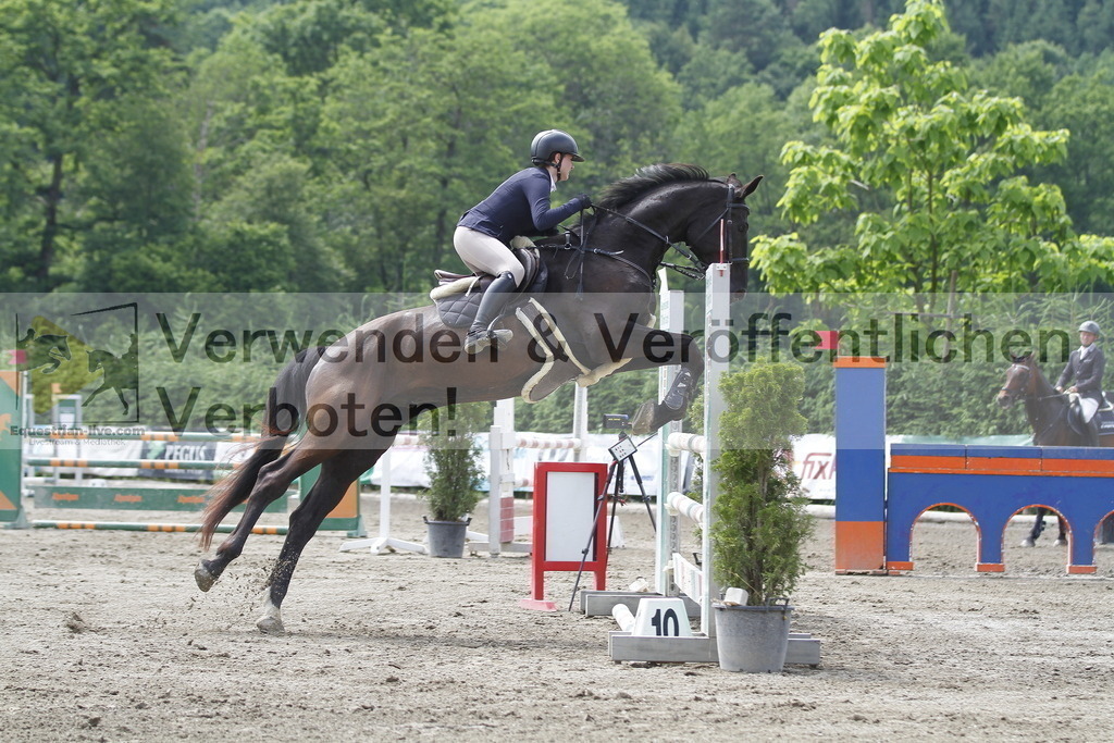 _MG_9482 | equestrian-live-com