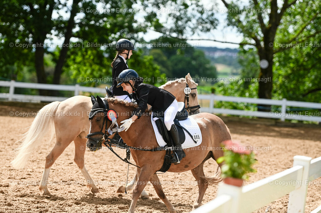 20230716_10-3_Reiter-WB Schritt - Trab - Galopp_0273 | equistock