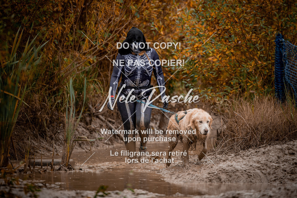 nelerasche_Creepy2025_Sa12-13_101 | nelerasche