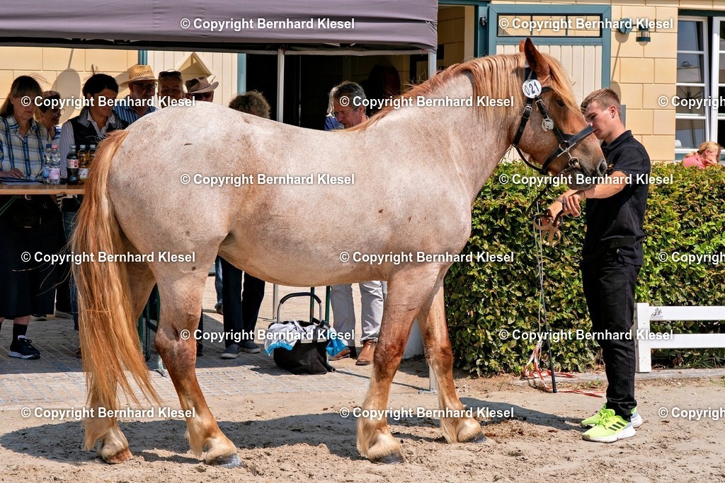 2A900587 | foto-team-bernhard - Realisiert mit Pictrs.com