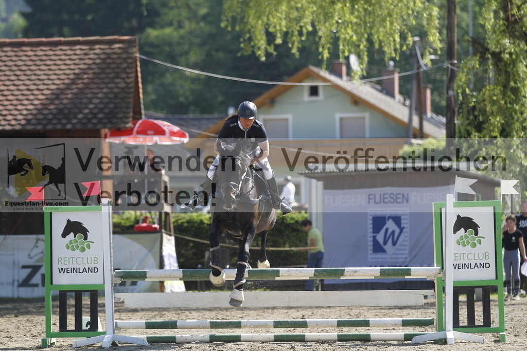 _MG_8400 | equestrian-live-com