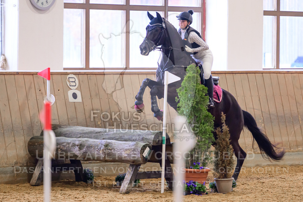 29032026-Schwaiganger-Prfg03-1-0400 | Fokus Hufschlag Fotografie - Realisiert mit Pictrs.com