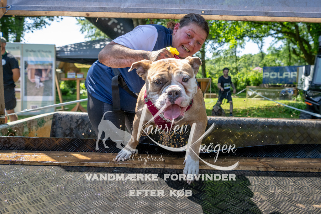 1249_ZZ92578 | kk-dogfotos