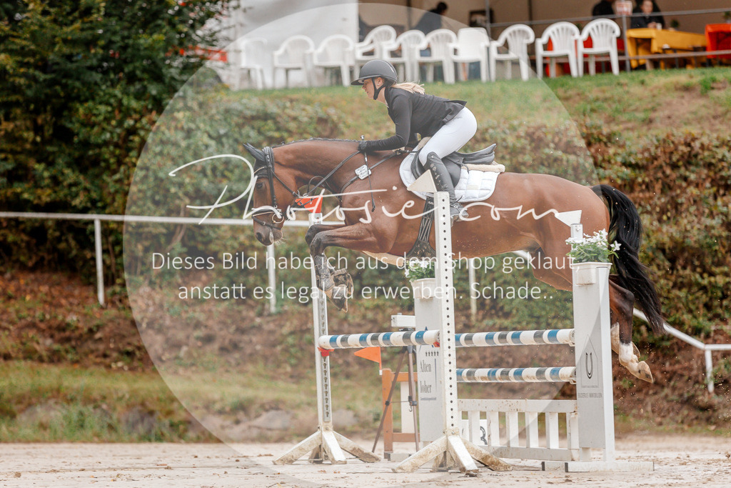 3I6A5622 | Stimmungsvolle Portraits und Reitsportfotografie im Ruhrgebiet und im Münsterland.

Pferdefotografie, Hundefotografie, Tierfotografie, Reportagen, Portraits von Tier und Mensch, Turnierfotografie in Bochum, Recklinghausen, Marl, Haltern am See, Dülmen.. - Realisiert mit Pictrs.com