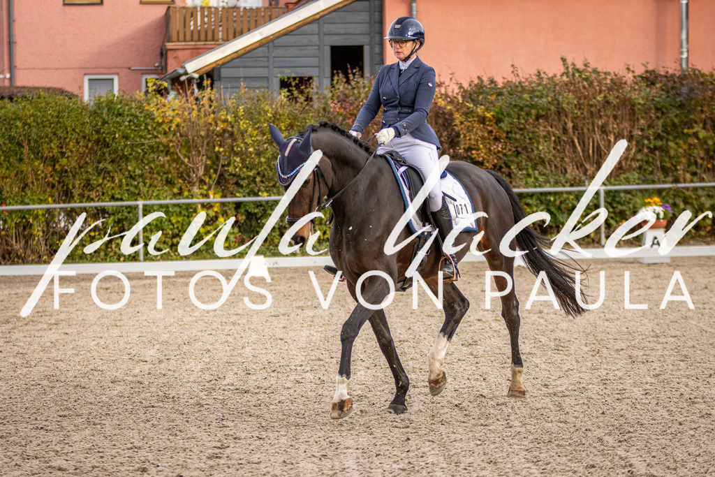 IMG_4402 | Erleben Sie dynamische Sport- und emotionale Tierfotografie in Süddeutschland mit Fotos von Paula. Spezialisiert auf Pferde- und Hundefotografie sowie Sportevents. Kontaktieren Sie mich für einzigartige und ausdrucksstarke Bilder Ihrer besonderen Momente.