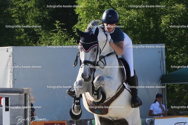OHT 2022 Röhlingen (181) | Fotografie, Tiere, Hunde, Katzen, Pferde, Sportfotografie, Fotosession, Tierfotografie, Turnierfotografie, Fotografin, Fotograf - Realisiert mit Pictrs.com
