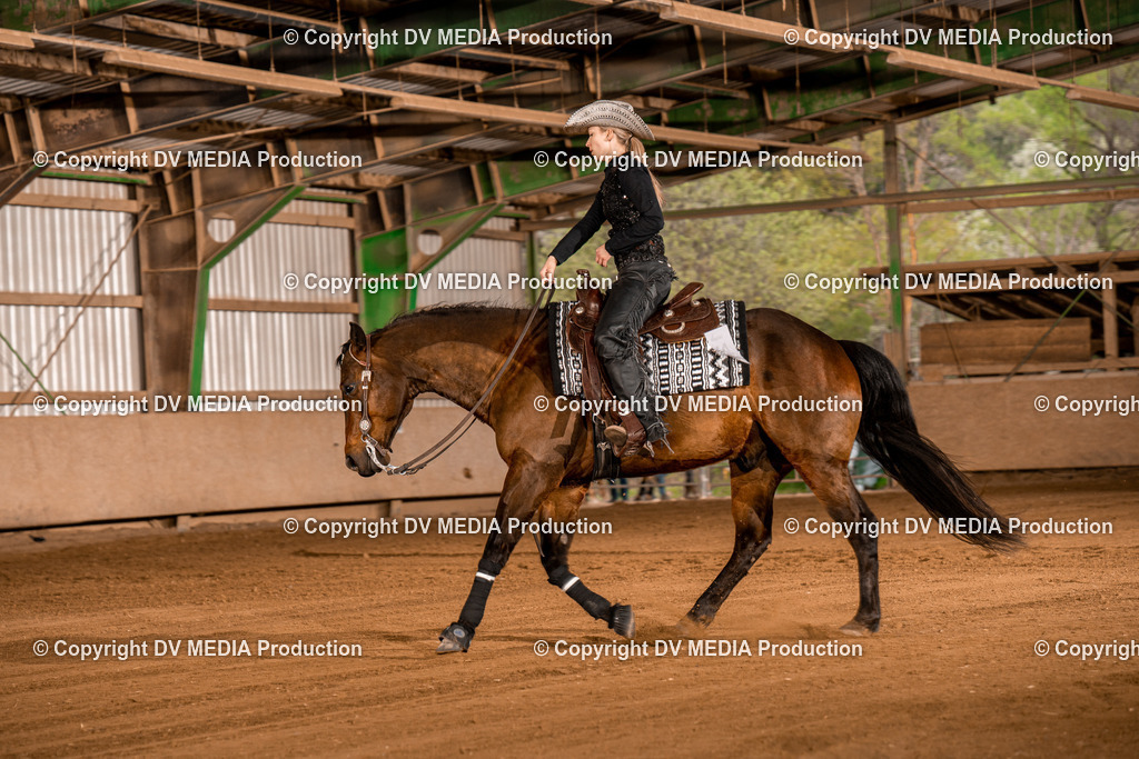 BA301247 | dv-media-shop - Realisiert mit Pictrs.com