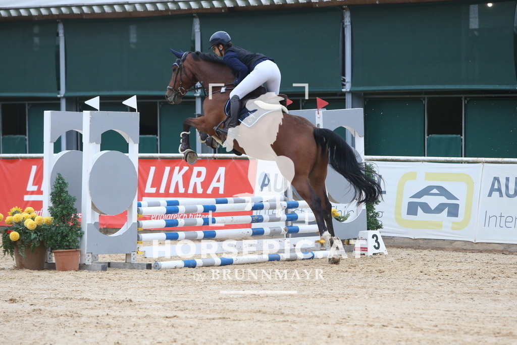 DL2Q0107 | Willkommen bei Brunnmayr - Design & Fotografie – Ihrem Spezialisten für Reitturniere und Pferdeveranstaltungen in Oberösterreich, Salzburg und Bayern! Seit über 17 Jahren sind wir leidenschaftlich dabei.