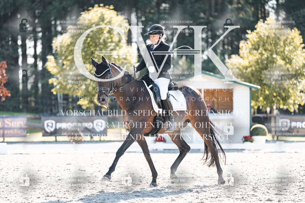 CK906365 | Turnierfotografie Pferdefotografie Trier Rheinland-Pfalz Pferdesport Reitsport Tierfotografie Sportfotografie Pferdevideo Pferdevideografie Equestrianvideography equestrianphotography  - Realisiert mit Pictrs.com