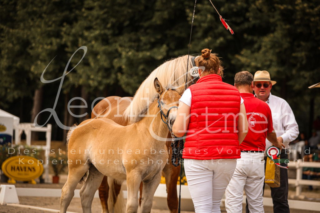 SaSF00118 | Leoni Ertmer Photography - Realisiert mit Pictrs.com