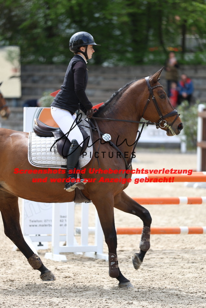 A40A2152 | lmwpictures - Realisiert mit Pictrs.com