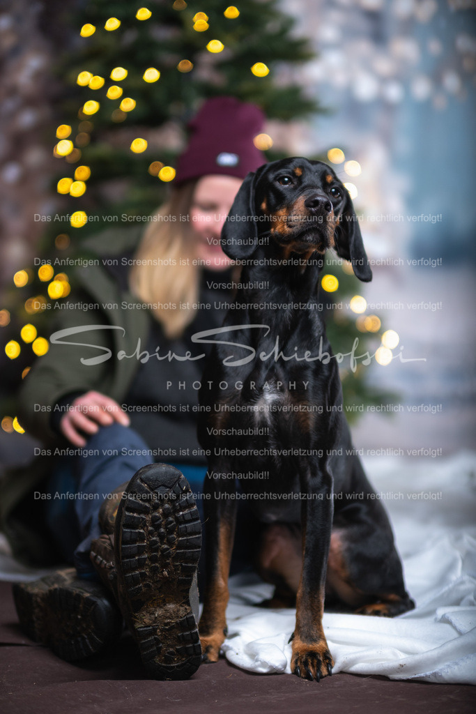 DSCF4341 | People- und Tierfotografie, Imageaufnahmen, Veranstaltungsfotografie und Wandbilder aus der Natur ★ Made in Germany ✔️ Druck + Downloads ✔️ Naturfotografie in Top Qualität ★ schneller Versand, weltweite Lieferung! - Realisiert mit Pictrs.com