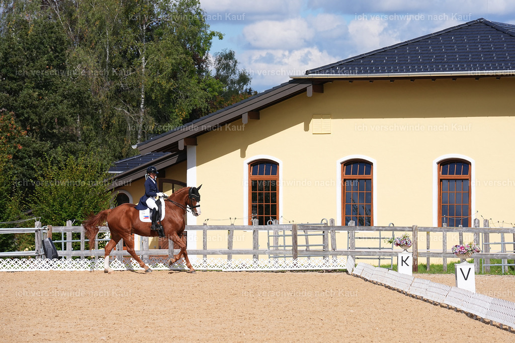 09_2-231-DRESSUR  S_  -Marixx-5998 | working equitationturnier fotograf videograf stoibphotography marixx film working equitation deutschland reitsport turnierfotografie eventfotografie equestrian events