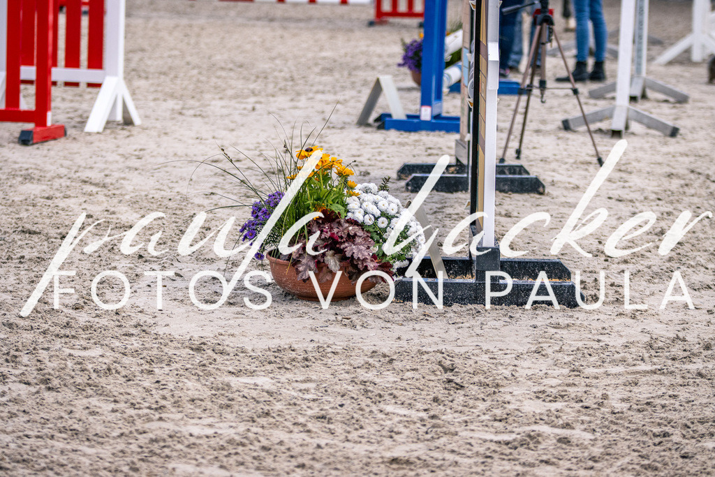 IMG_5957 | Erleben Sie dynamische Sport- und emotionale Tierfotografie in Süddeutschland mit Fotos von Paula. Spezialisiert auf Pferde- und Hundefotografie sowie Sportevents. Kontaktieren Sie mich für einzigartige und ausdrucksstarke Bilder Ihrer besonderen Momente.