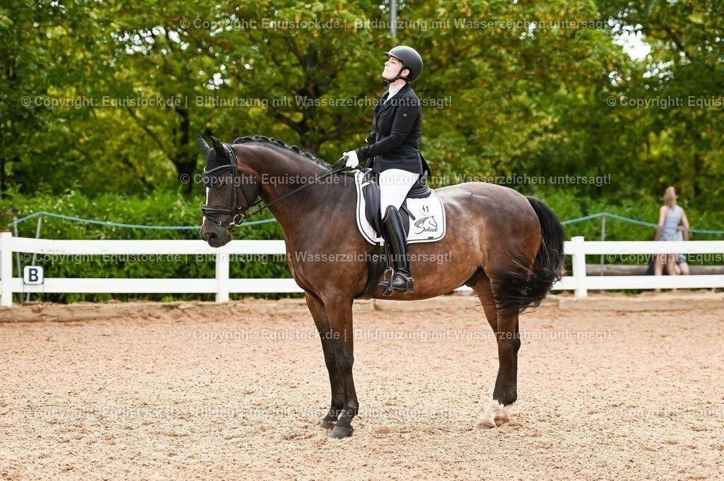 20230715_07_Dressurpferdeprfg. Kl.L_0102 | equistock