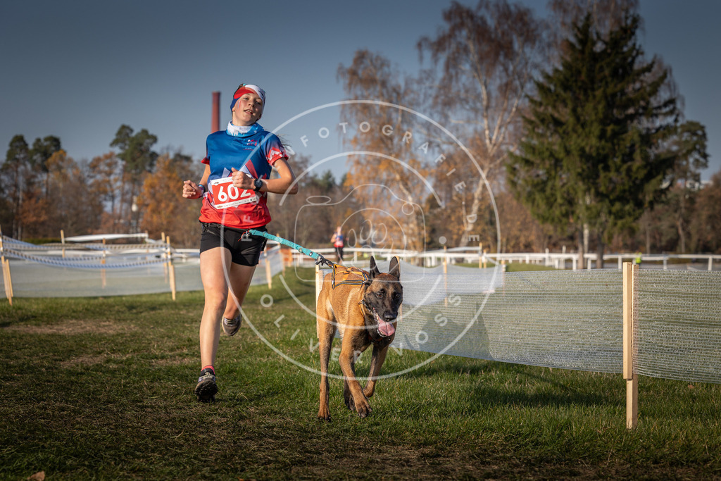 CaniXpix_0L8A9961 | Hundefotografie, Tierfotograf, Pfotenfotografie, Fotoshooting Hund, Hunde Portrait, Hundesport, Hundeportraits, Heideshooting, Hunde, Sportfotograf, Hundefotograf, Turnierhundsport, THS,  - Realisiert mit Pictrs.com