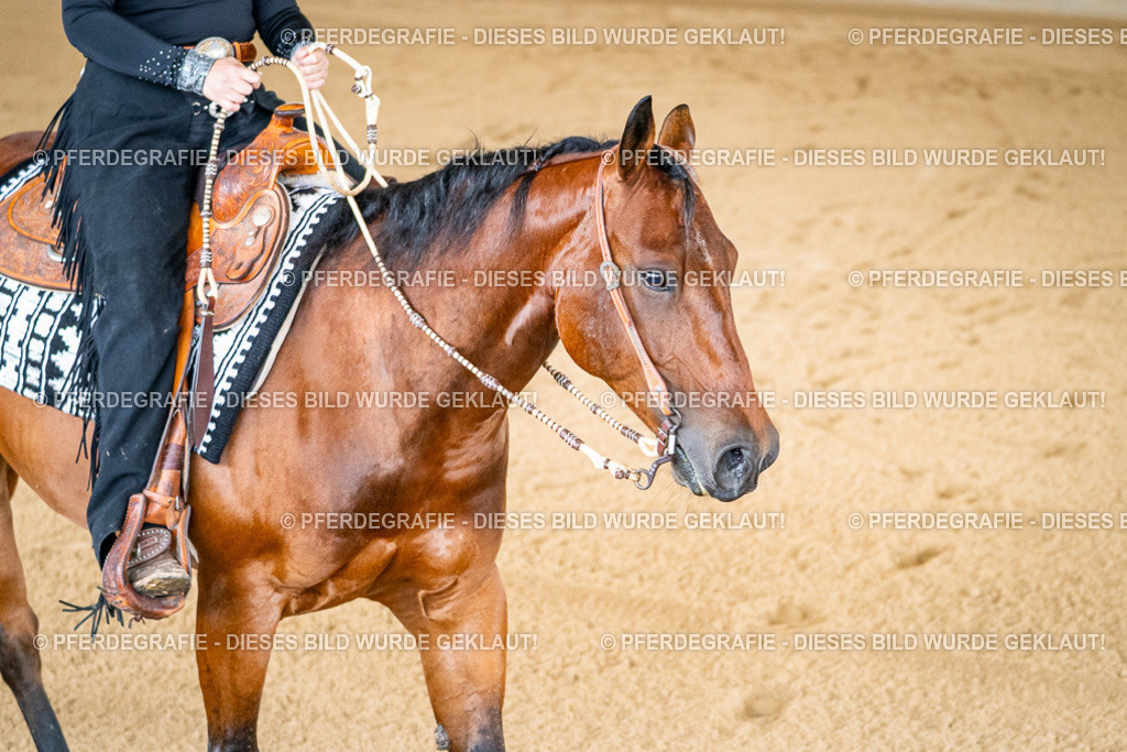 DSC01685 | Pferdegrafie