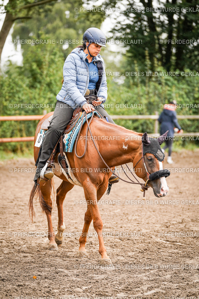 DSC04594 | Pferdegrafie