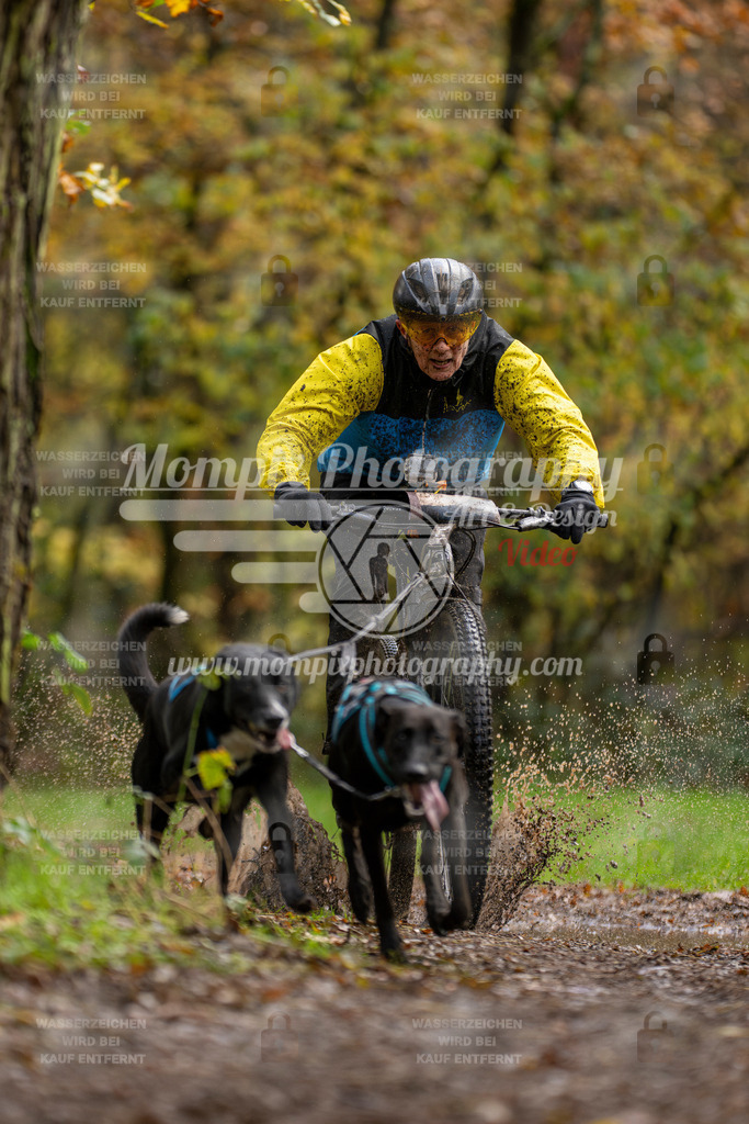 MompixPhotography_Bischwiller23_Bike2-3 | mompixphotography