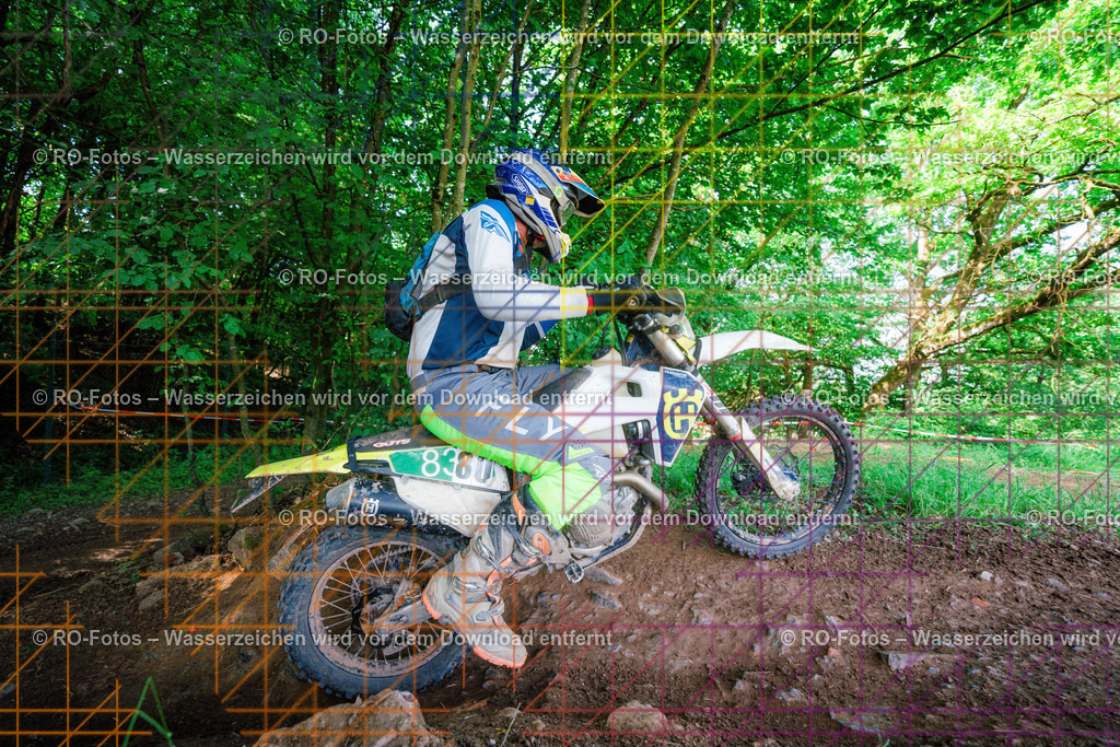 4 Lauf Schlüchtern IGE 2026-1127 | Sportfotografie von RO-Fotos: Motorsport, Motocross, Enduro, Laufveranstaltungen und Triathlon. Professionelle Fotos von Sportlern und Events. - Realisiert mit Pictrs.com