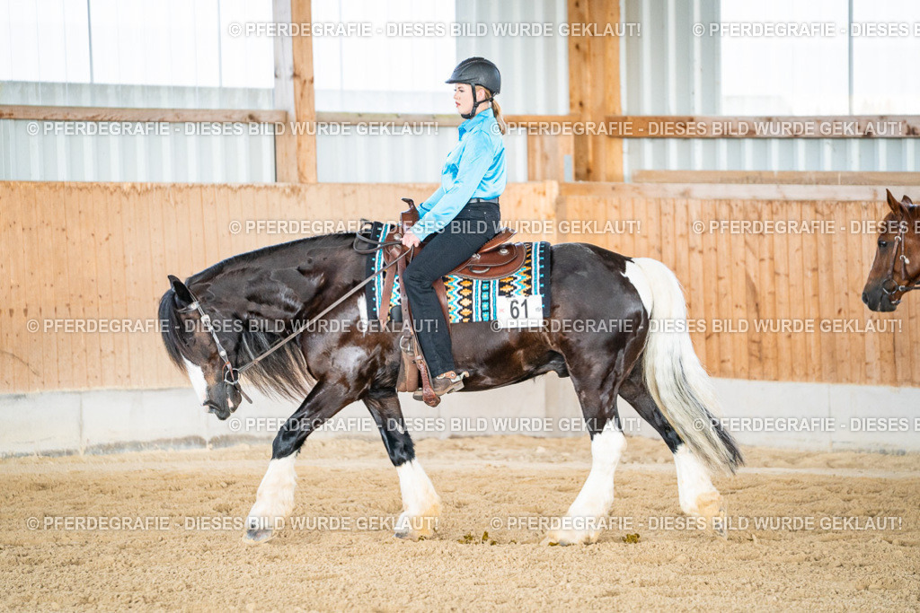 DSC08606 | Pferdegrafie