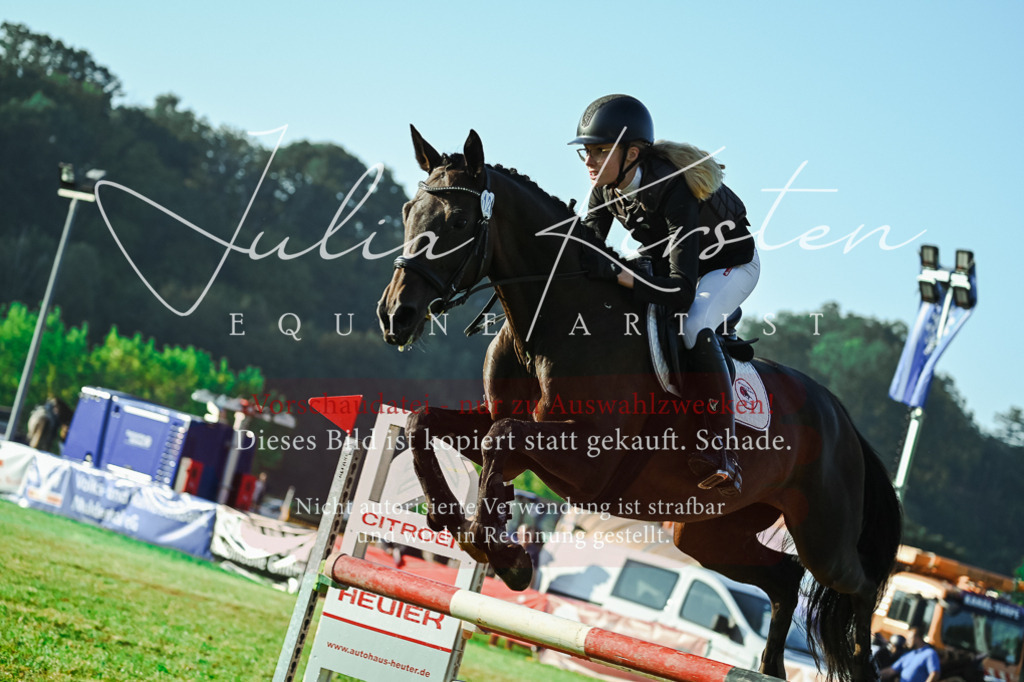DSC_4233 | Pferde- und Turnierfotografie in Westsachsen. Pferdeportraits, Auftragszeichnungen und intuitive Kunst.