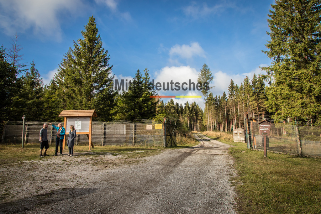 innerdeutsche Grenze Grünes Band Sorge Benneckenstein-0176 | Die innerdeutsche deutsch-deutsche Grenze, das Grüne Band - Realisiert mit Pictrs.com