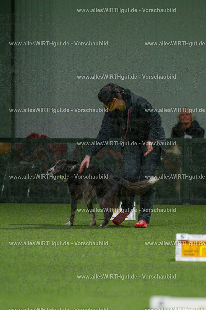7R507279 | Professionelle Tierfotografie in Mönchengladbach von Daniel Wirth (allesWIRTHgut). Liebevolle & natürliche Bilder von Hunden & Katzen für unvergessliche Erinnerungen.