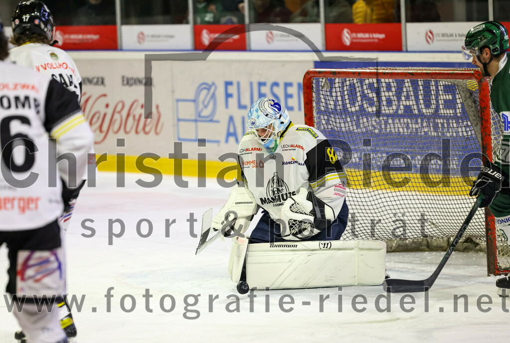 2023-11-17_085_TSV_Erding_gegen_EA_Schongau | Erding, Deutschland, 17.11.2023:
Eishockey, Bayernliga Vorrunde 2023 / 2024, 10. Spieltag, TSV Erding gegen EA Schongau, Endergebnis: 12:4

Torwart Xaver Nagel (EA Schongau, #80)

Foto: Christian Riedel / fotografie-riedel.net