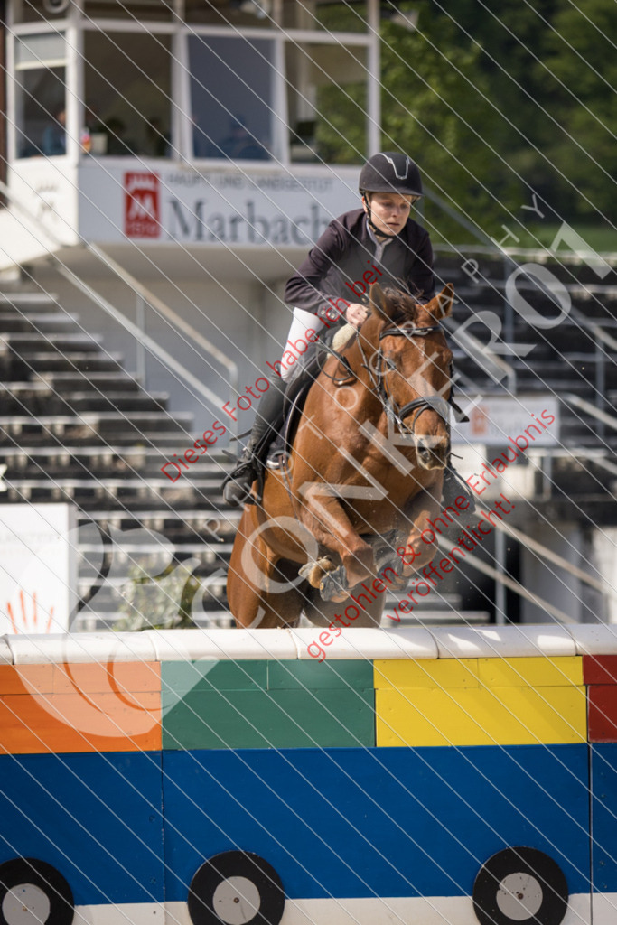 IMG_4845 | Sport-, Event- und Tierfotos in Profiqualität. Einfach auswählen, bestellen und herunterladen. Dein Moment – perfekt festgehalten.