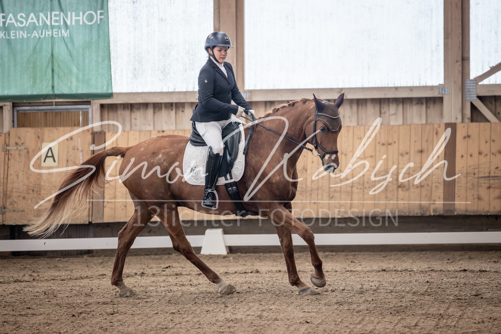 20251011-_3LI9544 | Tierfotografie Pferde, Hunde, Katzen, Haustiere.
Turnierfotografie Reitturniere, Reiten, Springreiten, Dressur in Hanau, dem Main-Kinzig-Kreis und dem Rhein-Main- Gebiet um Frankfurt