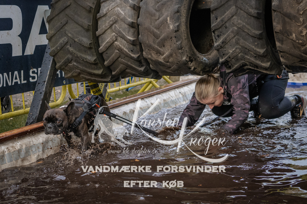 1448_ZZ90312 | kk-dogfotos
