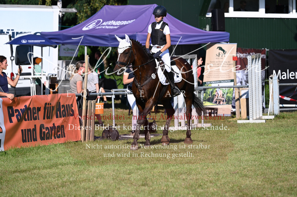 DSC_4921 | Pferde- und Turnierfotografie in Westsachsen. Pferdeportraits, Auftragszeichnungen und intuitive Kunst.