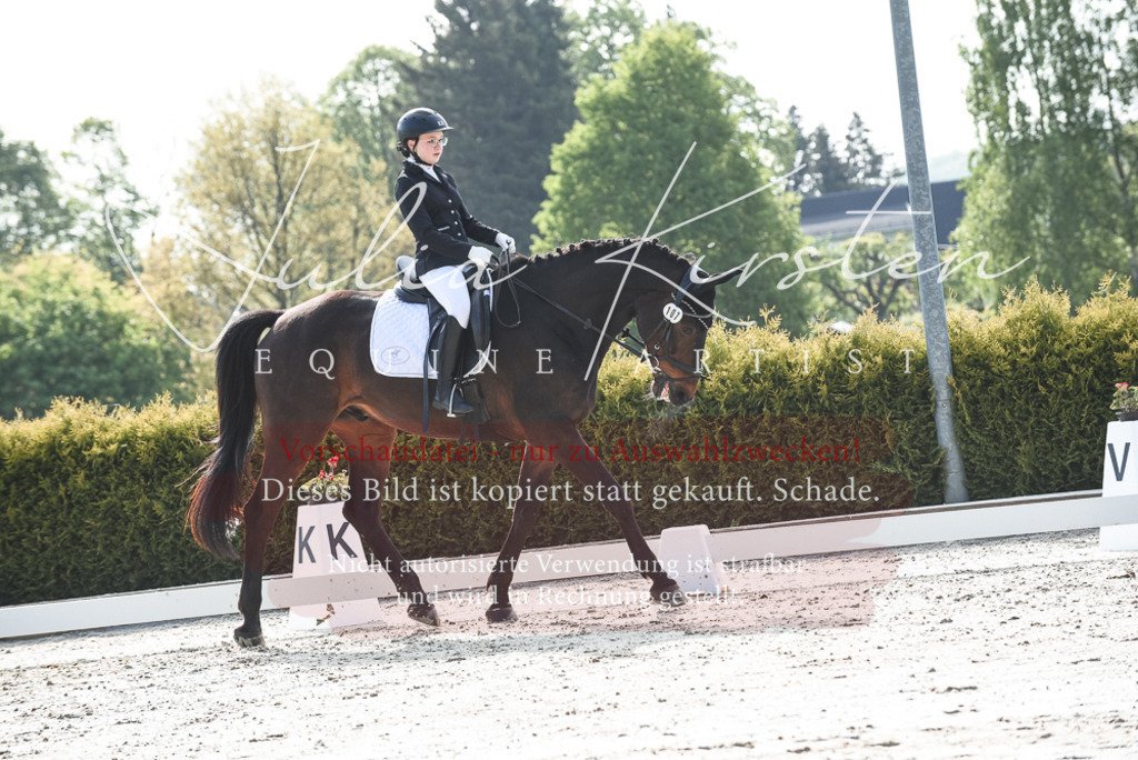 20230518_JK-Röhrsdorf-09-0965 | Pferde- und Turnierfotografie in Westsachsen. Pferdeportraits, Auftragszeichnungen und intuitive Kunst.