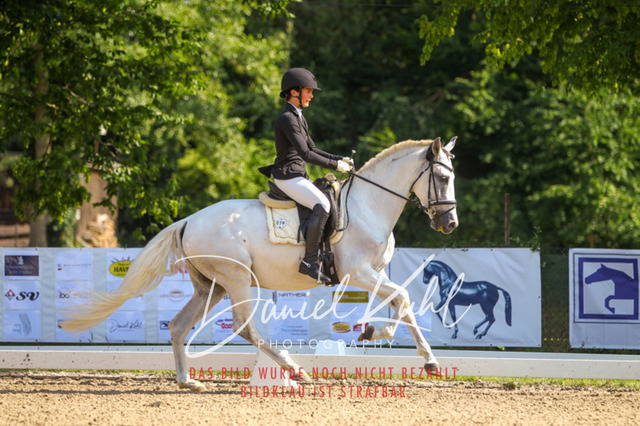 DKP42859 | Turnierfotos kaufen im Webshop von Daniel Kuhl Photography – entdecke professionelle Reitsportfotos aus Turnieren & Events. Hochwertige Turnierbilder online bestellen & sichern. Jetzt Fotos von Reitsportturnieren kaufen!