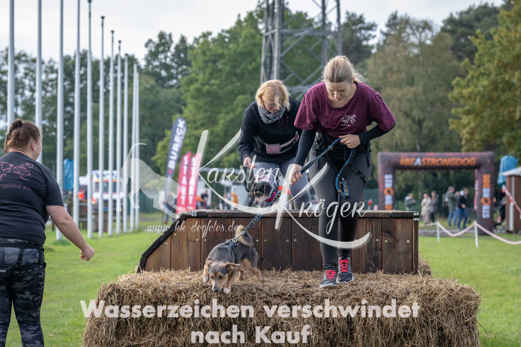 1504-94997 | kk-dogfotos