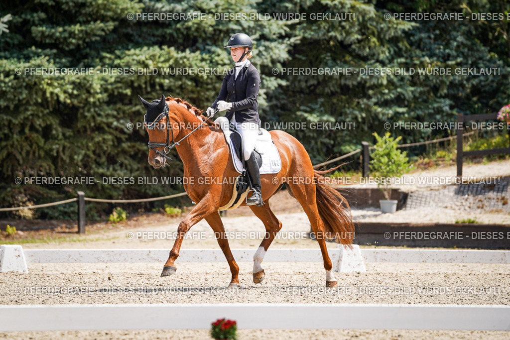 DSC00855 | Pferdegrafie