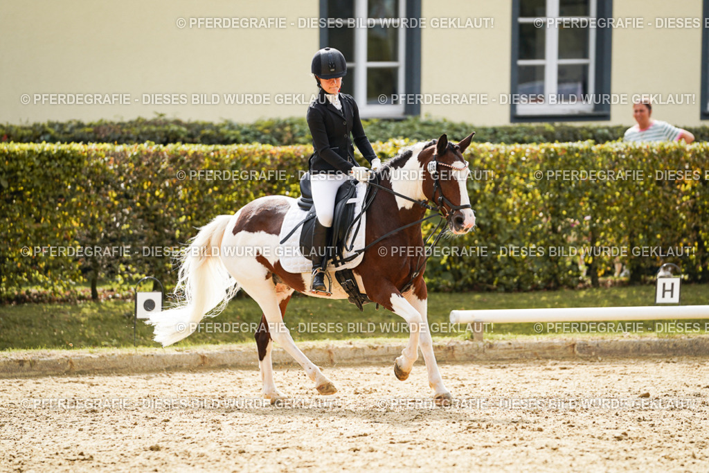 DSC01368 | Pferdegrafie