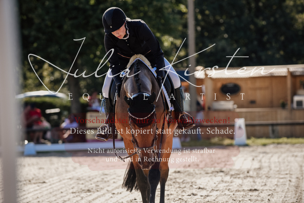 DSC_0325 | Pferde- und Turnierfotografie in Westsachsen. Pferdeportraits, Auftragszeichnungen und intuitive Kunst.