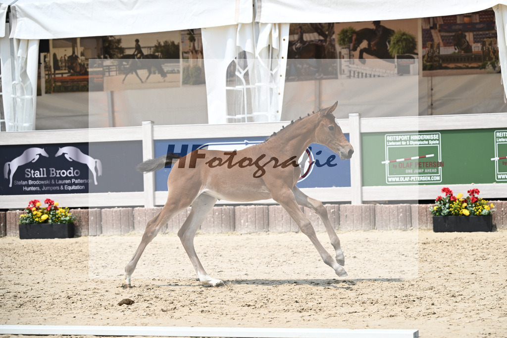 Cardento x Heartbreaker_SF_Wagner_12250873 | hf-fotografie - Realisiert mit Pictrs.com