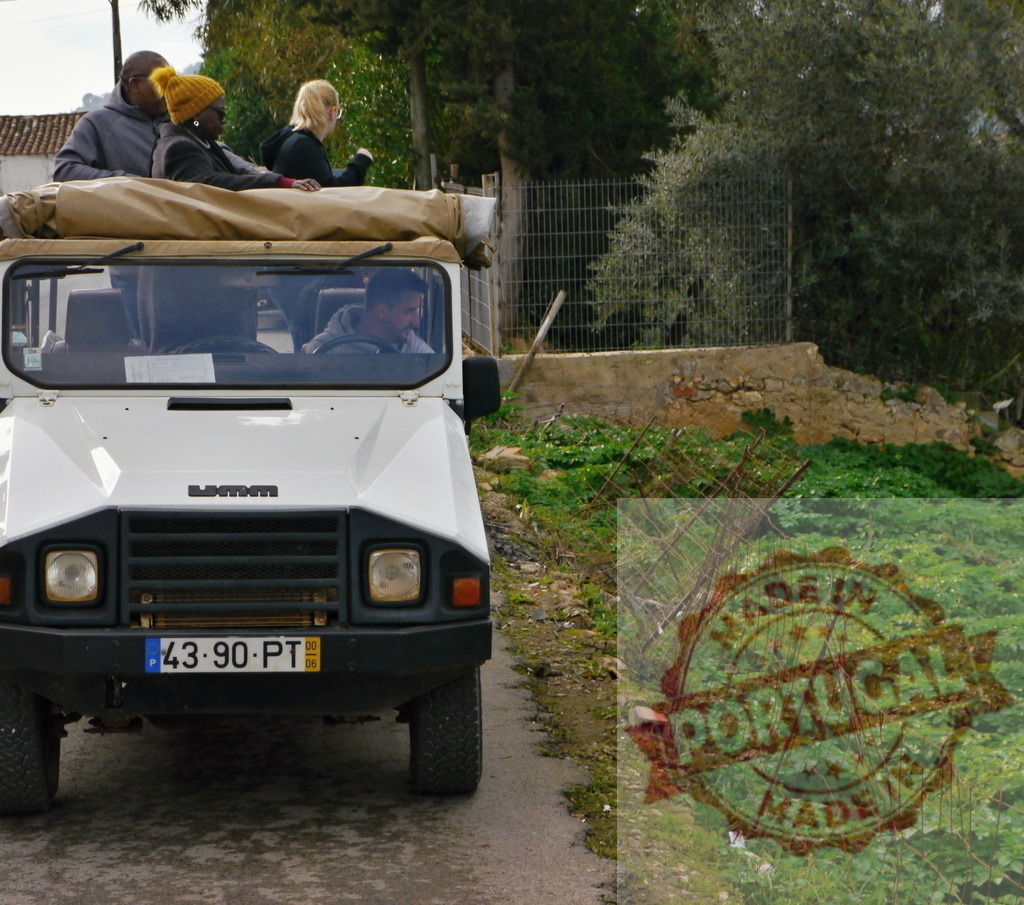 Tourists enjoying vehicle safari adventure in Portugal countryside | Tourists in an off-road vehicle explore rural trails amidst green vegetation - Realized with Pictrs.com