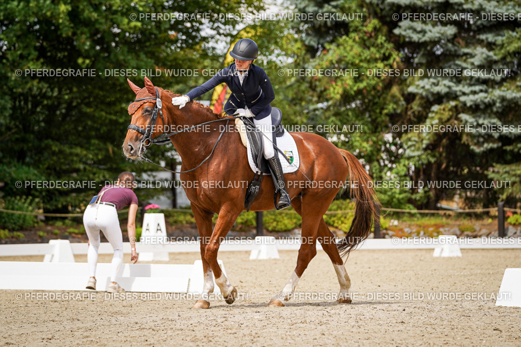 DSC04931 | Pferdegrafie