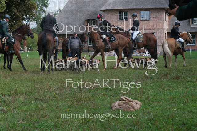 Jagd Perdoel_MarinaHewigDSCF3936 | Fotografie, FotoArt, PferdesportArt, Pferdesportfotografie, Landschaftsfotografie, Reisefotografie, Reise, Pferde - Realisiert mit Pictrs.com